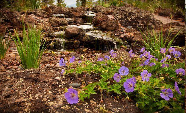 Water cascading over dark rocks into a garden bed with purple flowers and green plants.