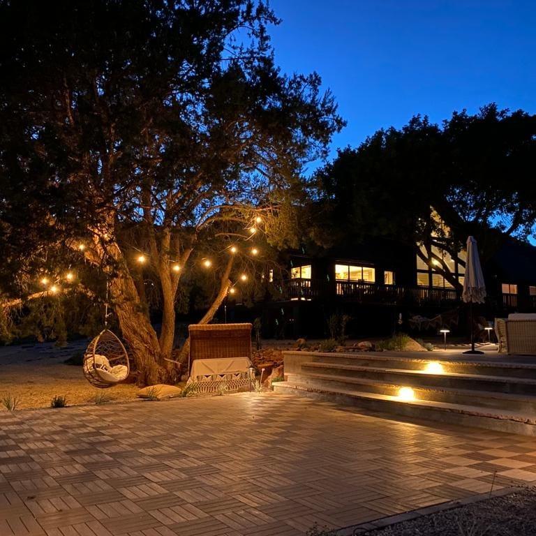 A tree with lights hanging from it is in front of a house at night.
